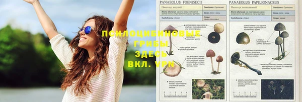 мефедрон Михайлов