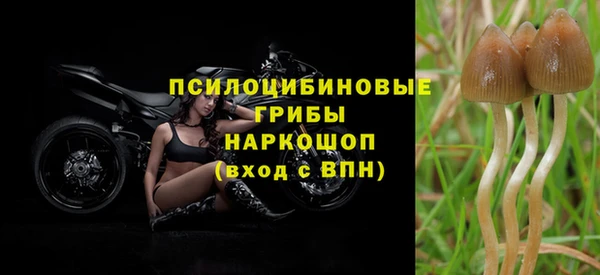 сатива Михайловск