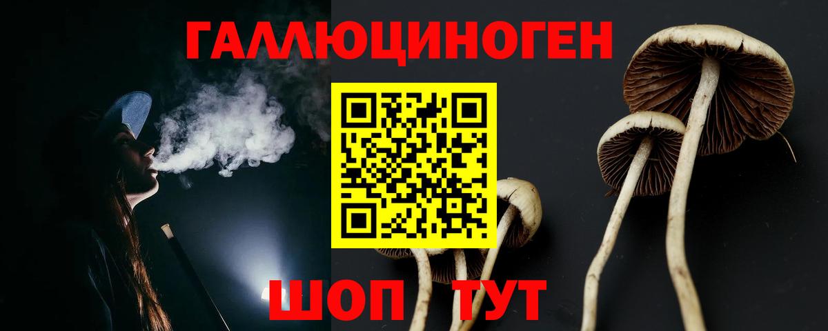 Галлюциногенные грибы GOLDEN TEACHER Троицк