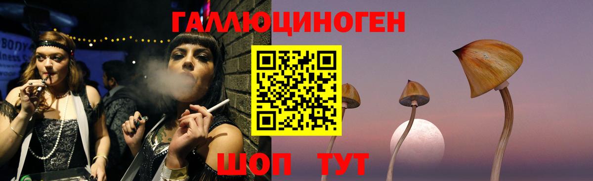 Галлюциногенные грибы Psilocybine cubensis  Вход с VPN  Троицк 